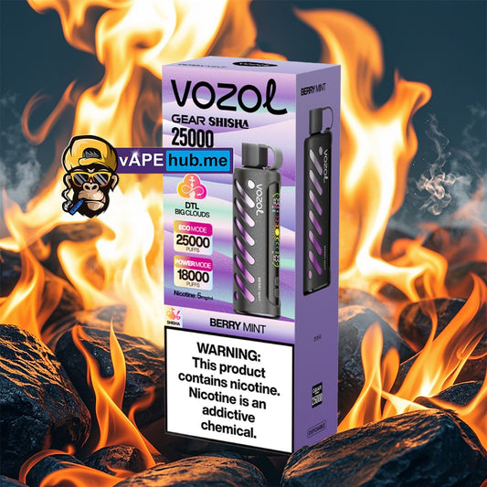 VOZOL Gear Shisha 25000 Berry Mint - VapeHub