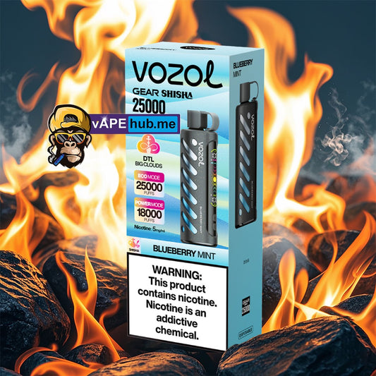 VOZOL Gear Shisha 25000 Bluberry Mint - VapeHub