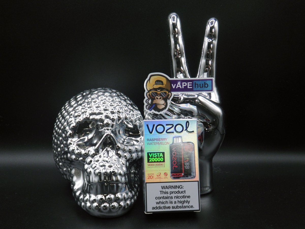 VOZOL Vista 20000 Raspberry Watermelon - VapeHub